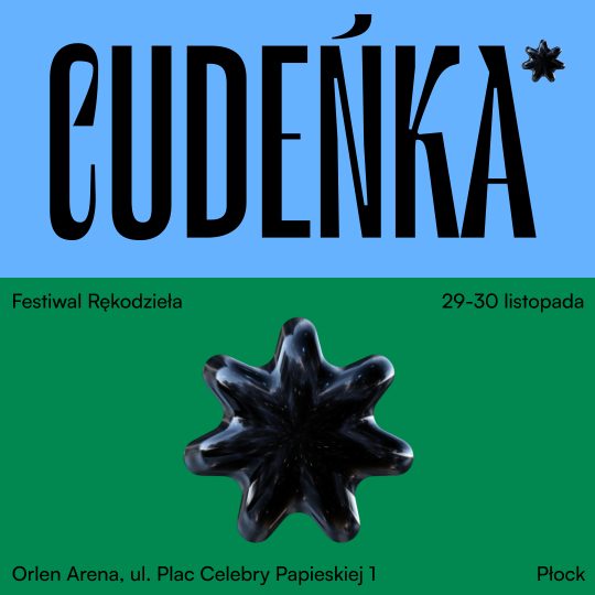 29-30 listopada 2025 Płock / Bilet Normalny